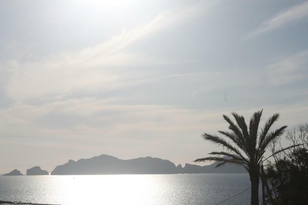 Le Case Dei Pescatori - Residence Il Tramonto Ponza Eksteriør billede